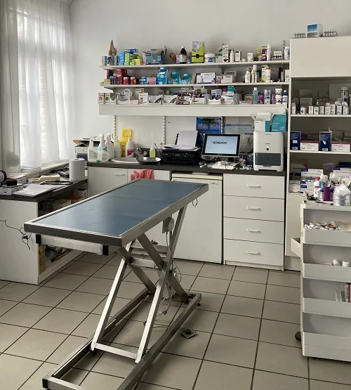 Clinique Vétérinaire Univet Seclin - La Collégiale - photo 1