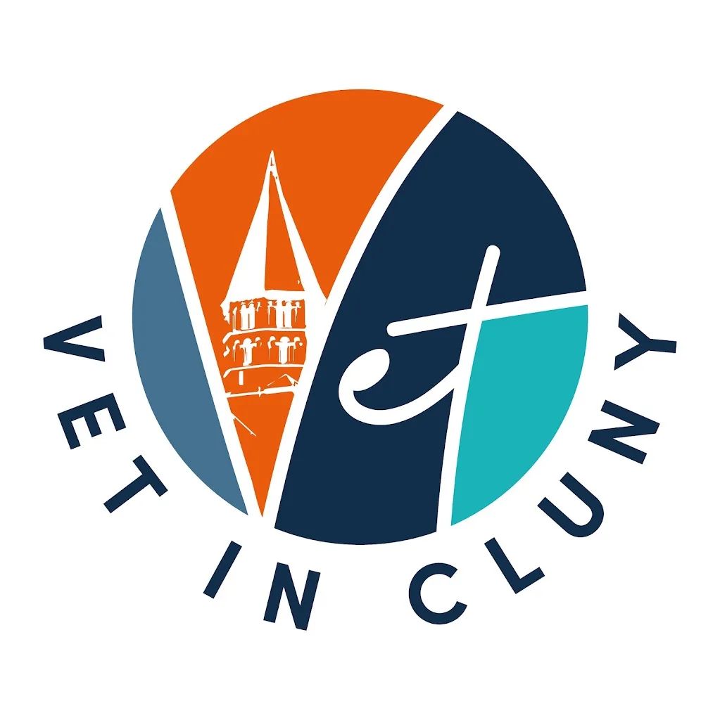 Vet In Cluny - photo 3