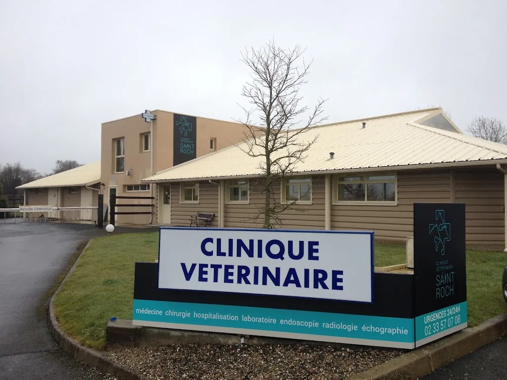 Vétérinaire Ellébore Ostéopathie Physiothérapie - photo 1