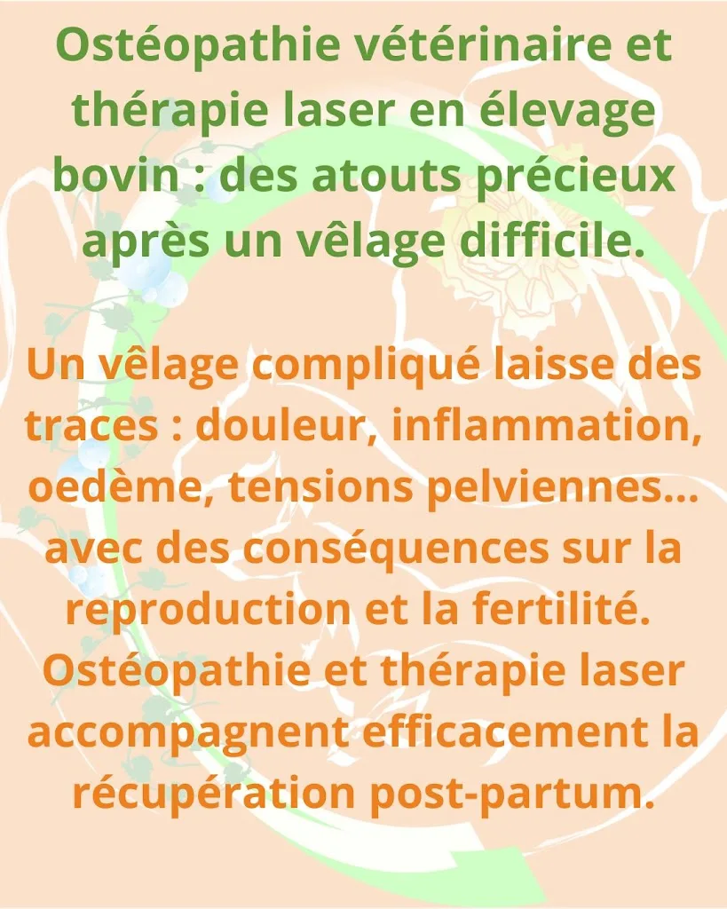 Vétérinaire Ellébore Ostéopathie Physiothérapie - photo 2