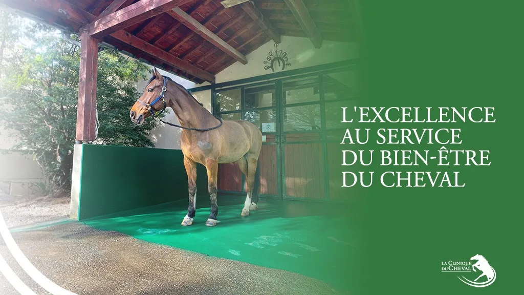 Vet'eau - photo 2