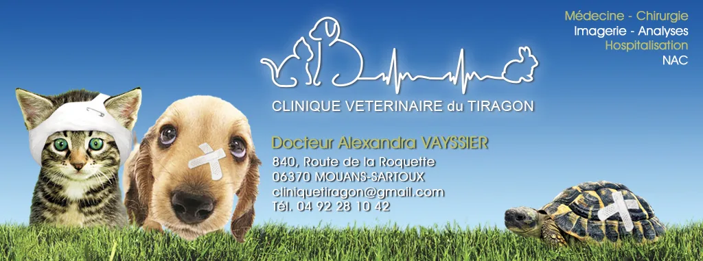 Clinique Vétérinaire de Tournamy - photo 3