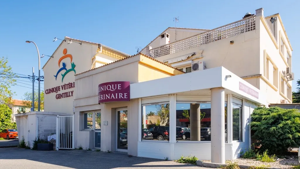 Thuillier Stéphane - photo 3