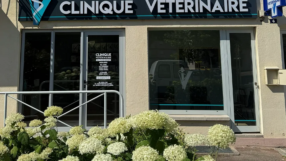 Clinique Vétérinaire de l'Orangerie - Dr REMY et MILLERIOUX - photo 2