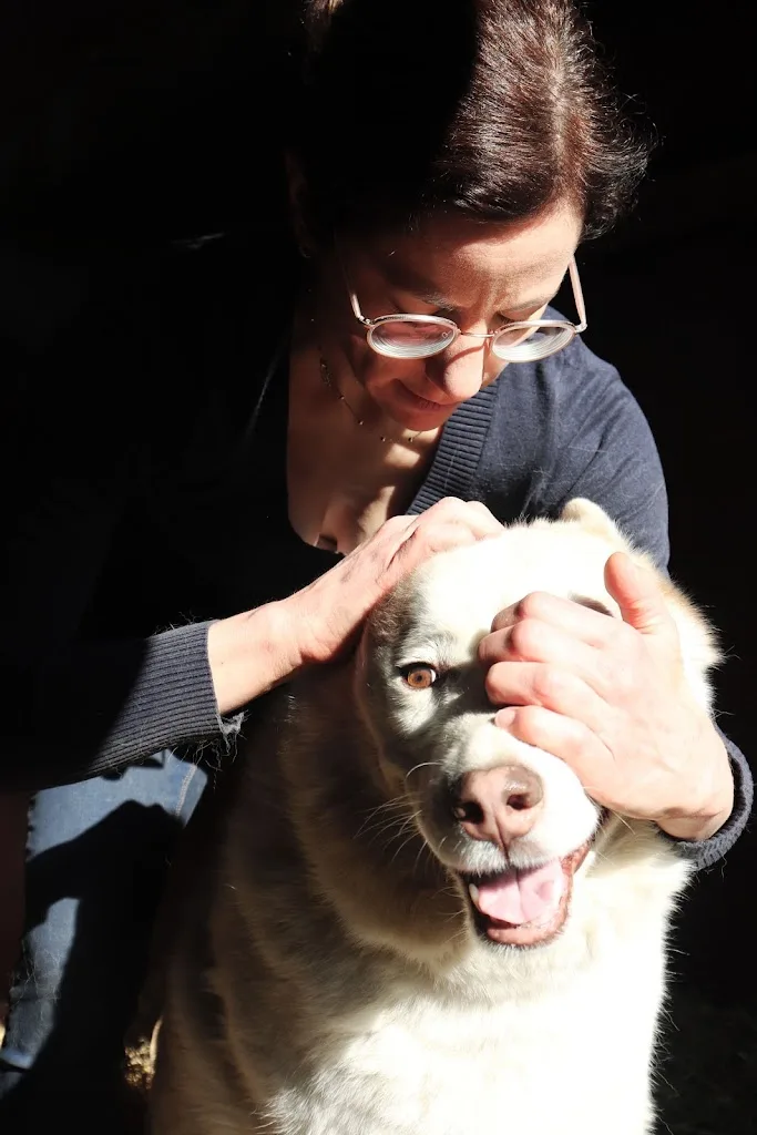 Seoa Veterinaire - photo 3