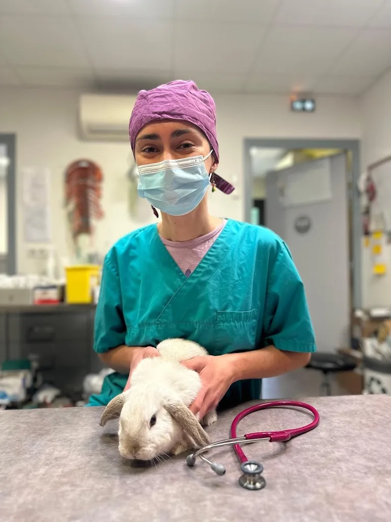 Clinique Vétérinaire La Cardelle - photo 2