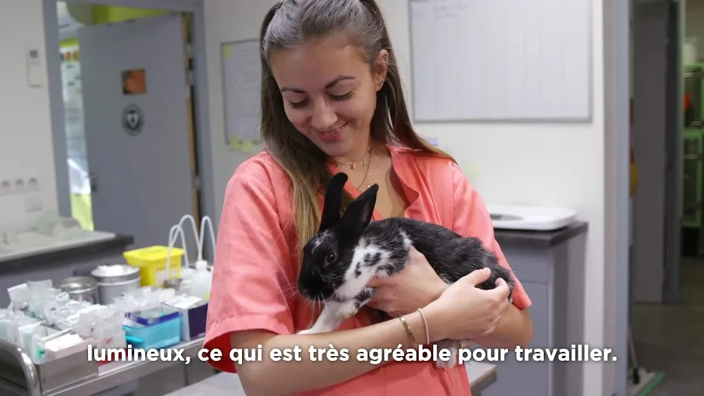 Clinique Vétérinaire La Cardelle - photo 3
