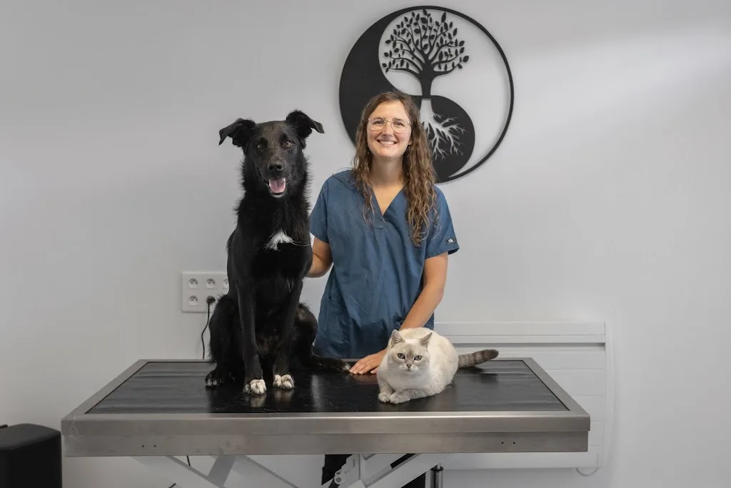 CLINIQUE VETERINAIRE NATURA'VET - photo 1