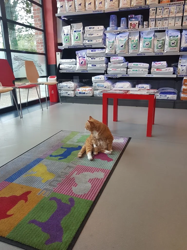 Clinique vétérinaire des mille et une pattes - photo 1