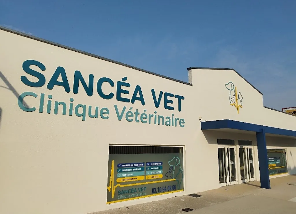 Sancéa Vet - photo 1