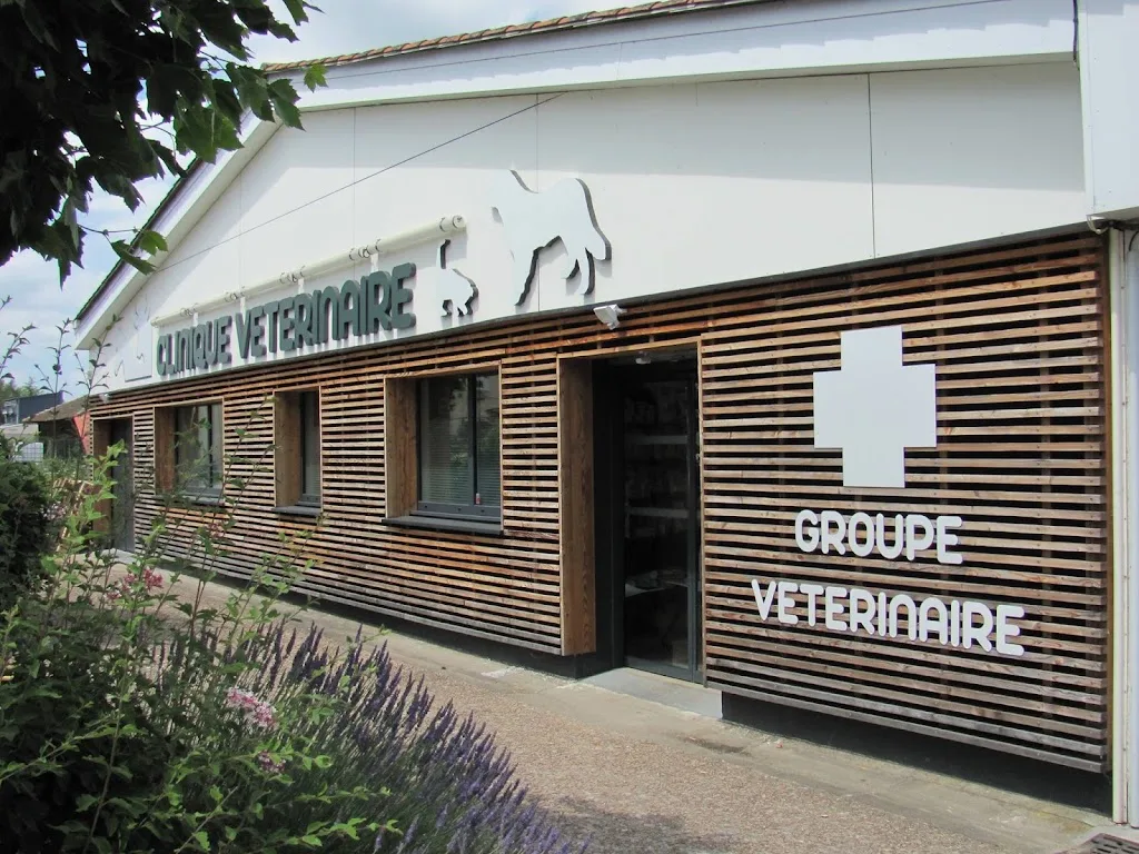 Audoux Babeanu Marouteix-Rouet Prudhomme Givois - photo 3