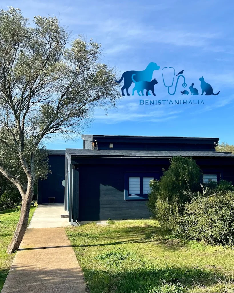 Dr Vassili VOVK Benist'Animalia - photo 3