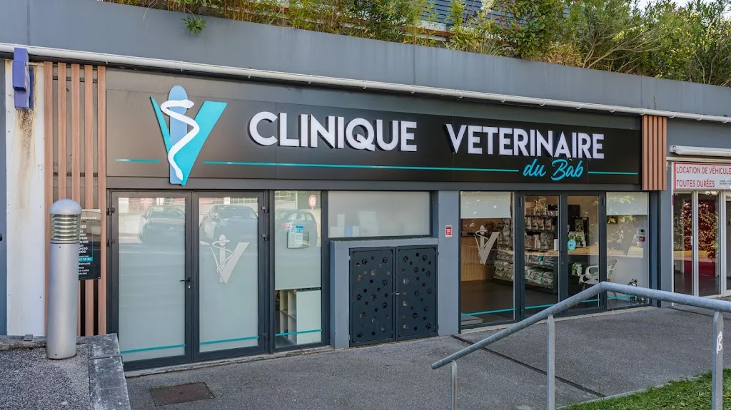 Clinique Vétérinaire Saint Pierre - photo 1