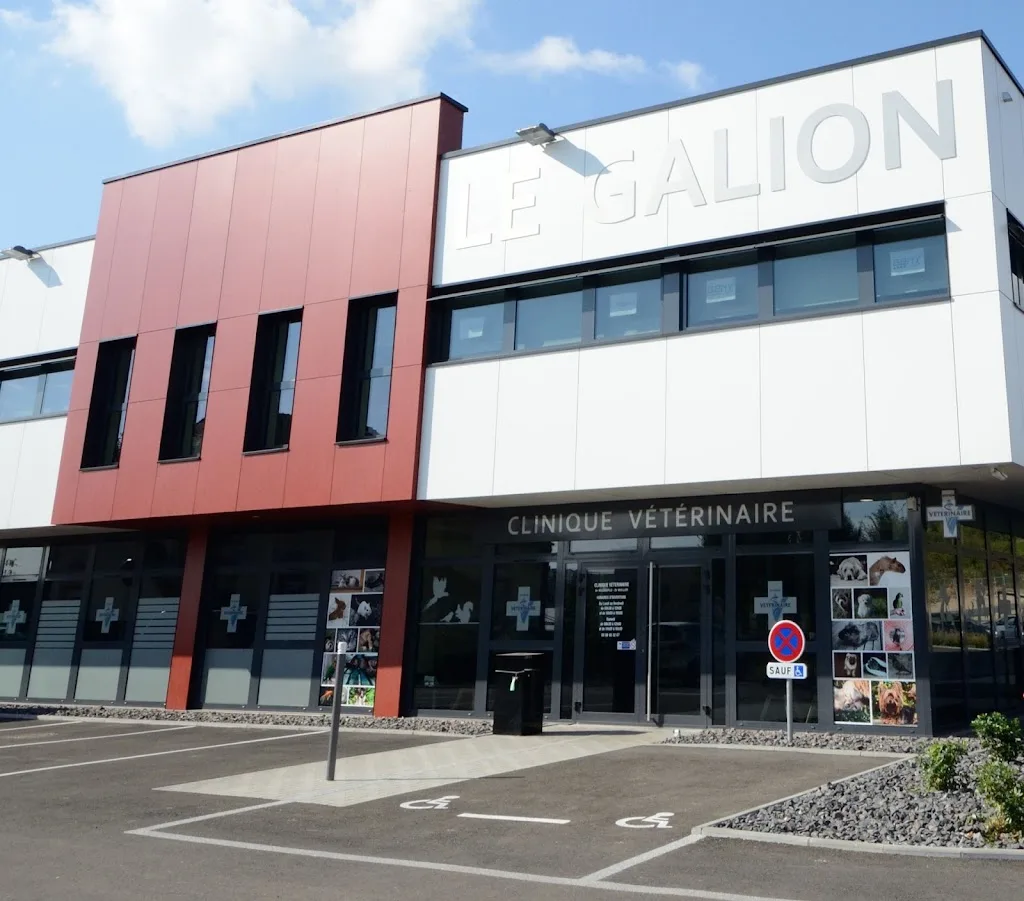 Clinique Vétérinaire De Fontbonne - photo 2