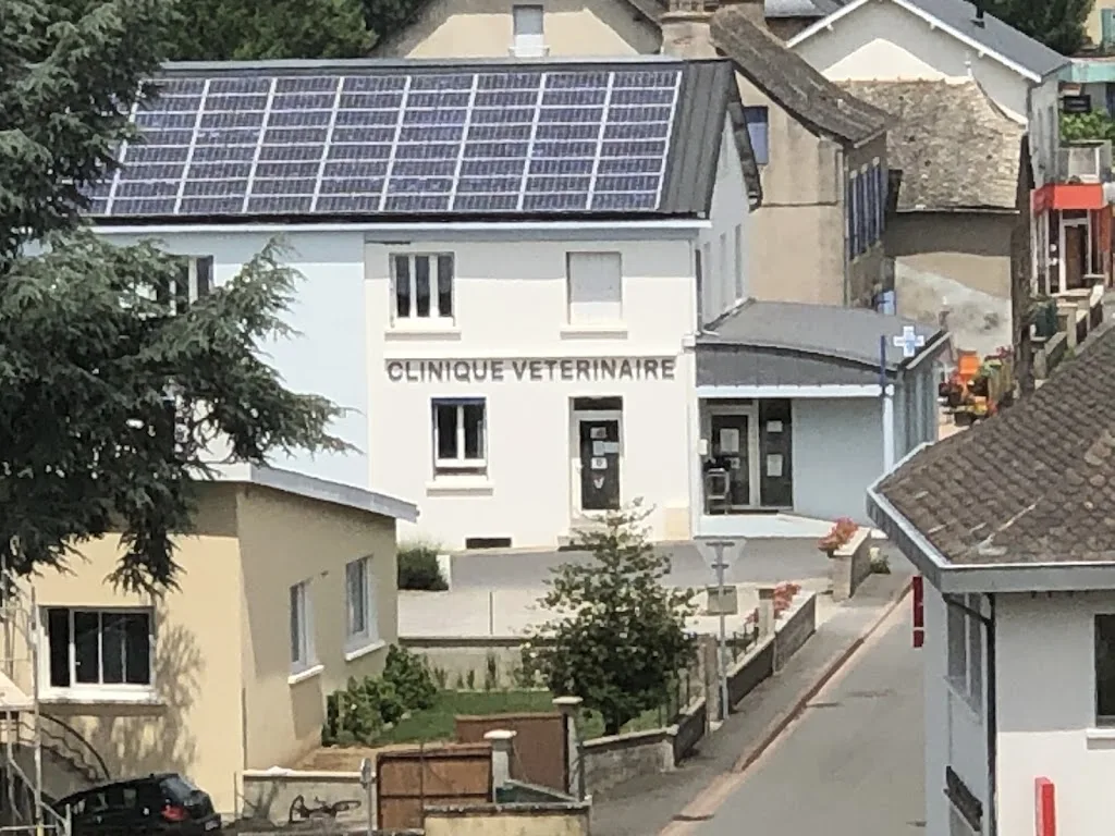 Cabinet Vétérinaire de Rieupeyroux - photo 1