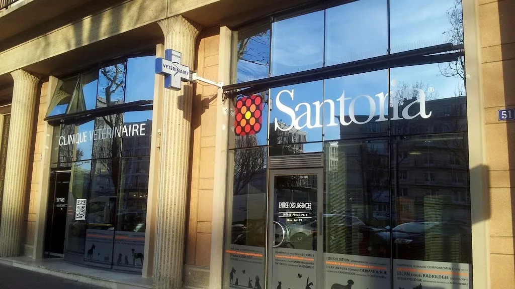 Fraignac - photo 3