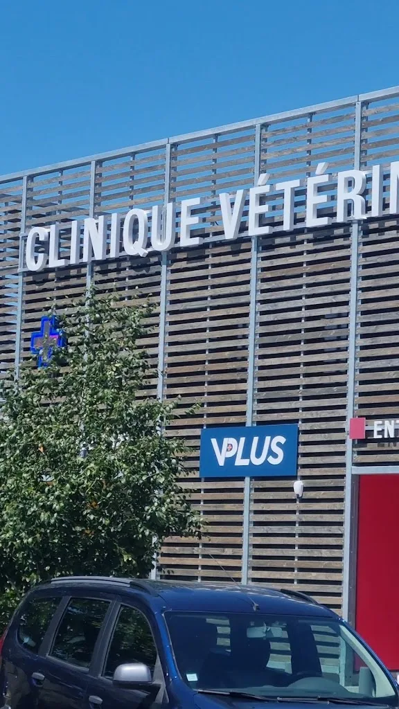 Clinique Vétérinaire Cergy VPLUS - photo 2