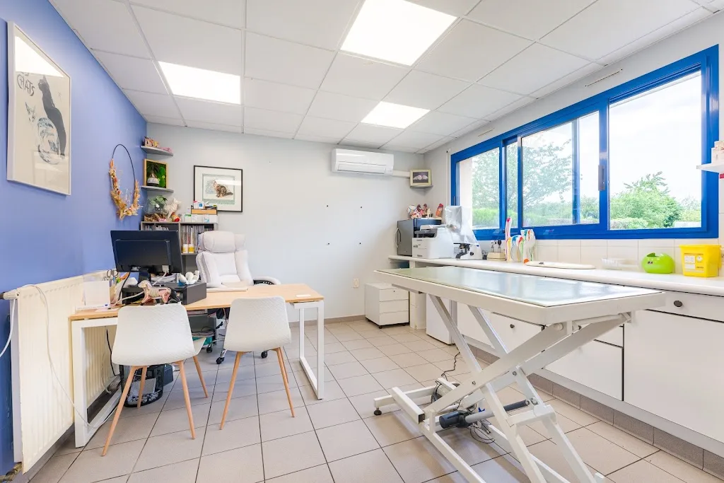 Clinique vétérinaire des Marais - Herbignac - Sevetys - photo 1