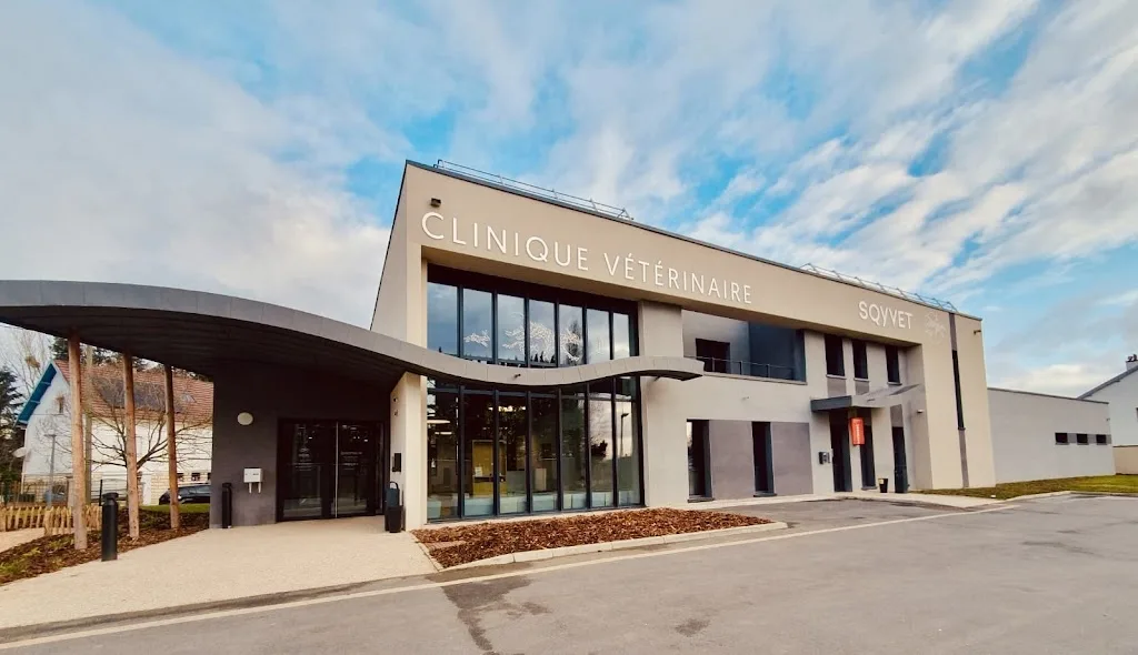 Clinique Vétérinaire Orphevet - photo 2