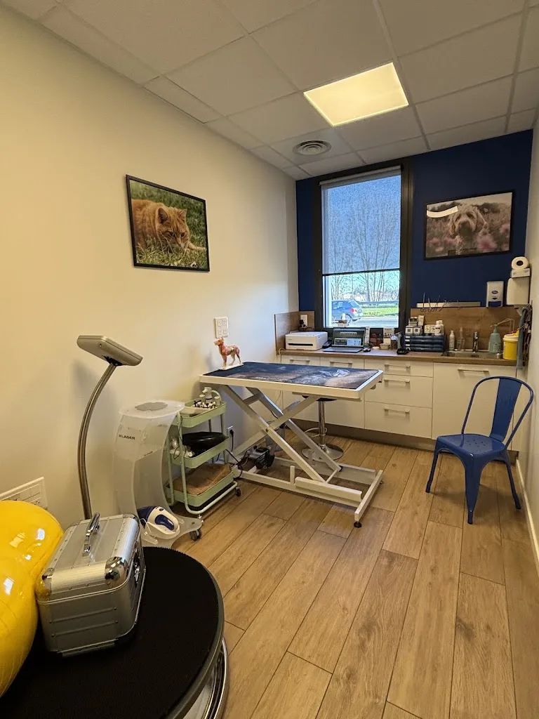 KineVetosteo Vétérinaire Gestion de la douleur/ Ostéopathie/acupuncture/Phytothérapie/homéopathie/physiothérapie - photo 1