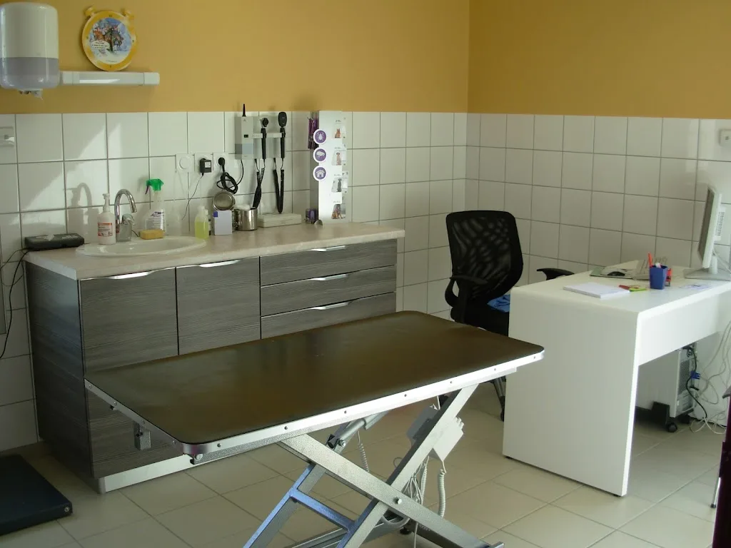 Cabinet Vétérinaire de St Paul - photo 1