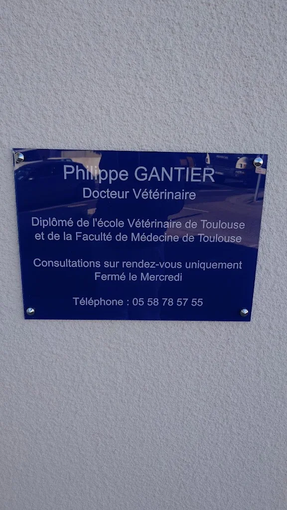 Vétérinaire à Biscarrosse - photo 1