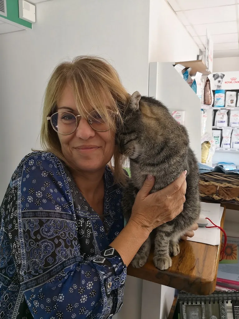 CLINIQUE VETERINAIRE DU RAUMARTIN - photo 1