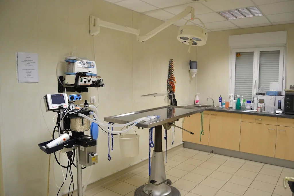 Clinique vétérinaire Pointe de Saire - photo 1