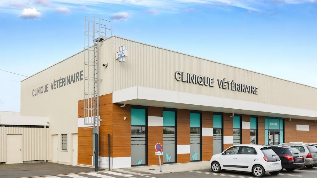 Chêne Vert - Conseil vétérinaire - photo 1
