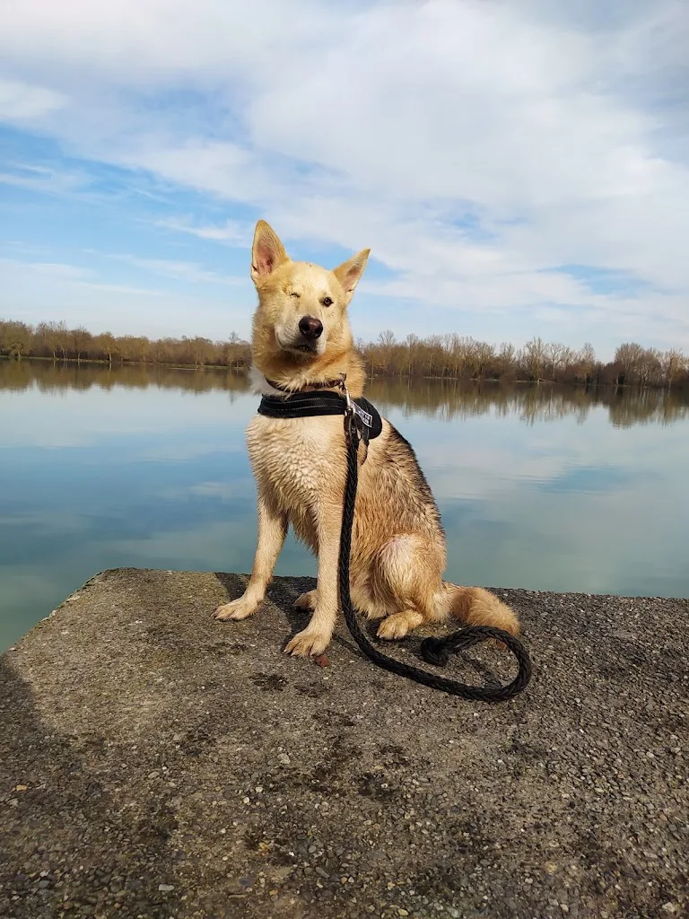Clinique Vétérinaire de l'Arriu - photo 1