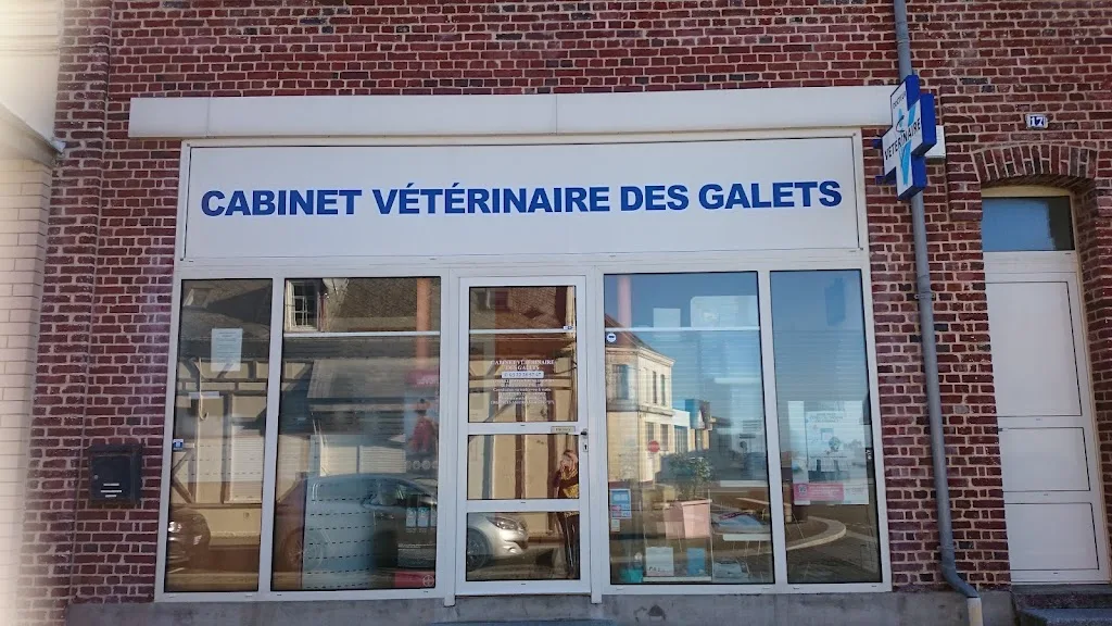 Cabinet Vétérinaire Delabie Pieters Lefebvre Poulain Rouque Heynderickx - photo 3