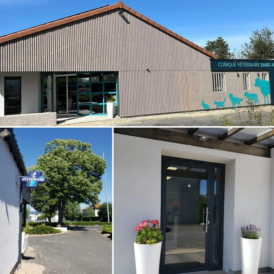 Clinique Vétérinaire de l'Allagnon, SCP LAROUERE LELIEVRE DEGRYSE - photo 1