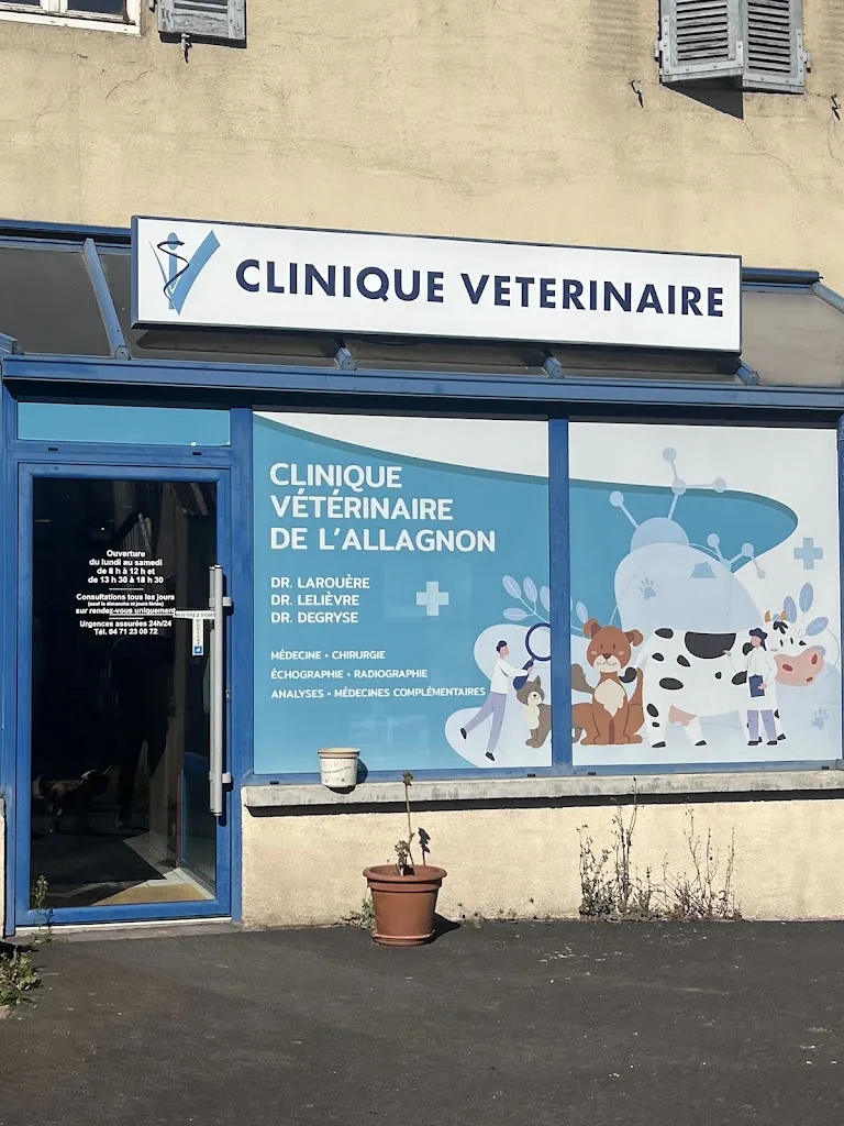 Clinique Vétérinaire de l'Allagnon, SCP LAROUERE LELIEVRE DEGRYSE - photo 2