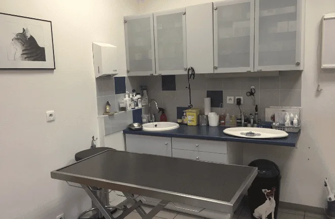 Clinique Vétérinaire de la Forêt Notre-Dame Monveto Lésigny - photo 2