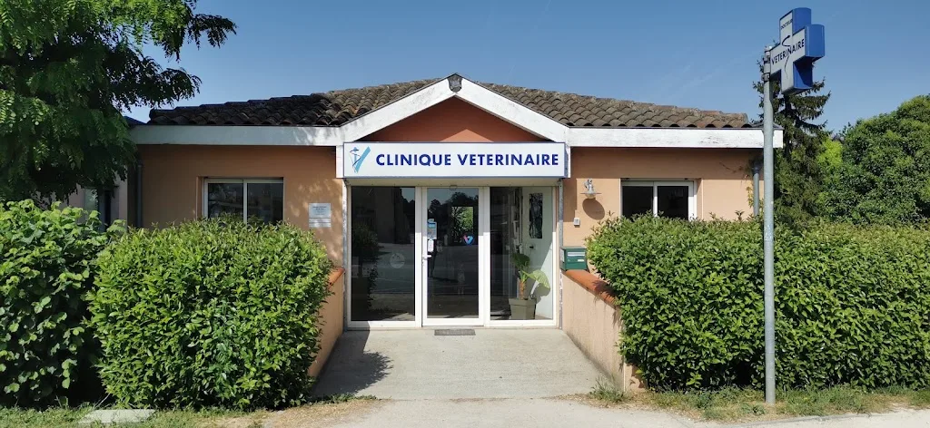 Clinique Vétérinaire des Portes du GERS - CRECS - photo 2