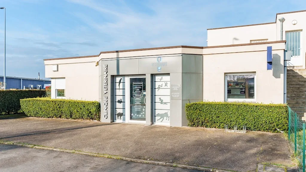 Clinique Vétérinaire Argos Ars-sur-Moselle - photo 3