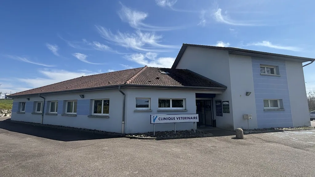 Clinique Vétérinaire de l’Ile Verte - photo 1