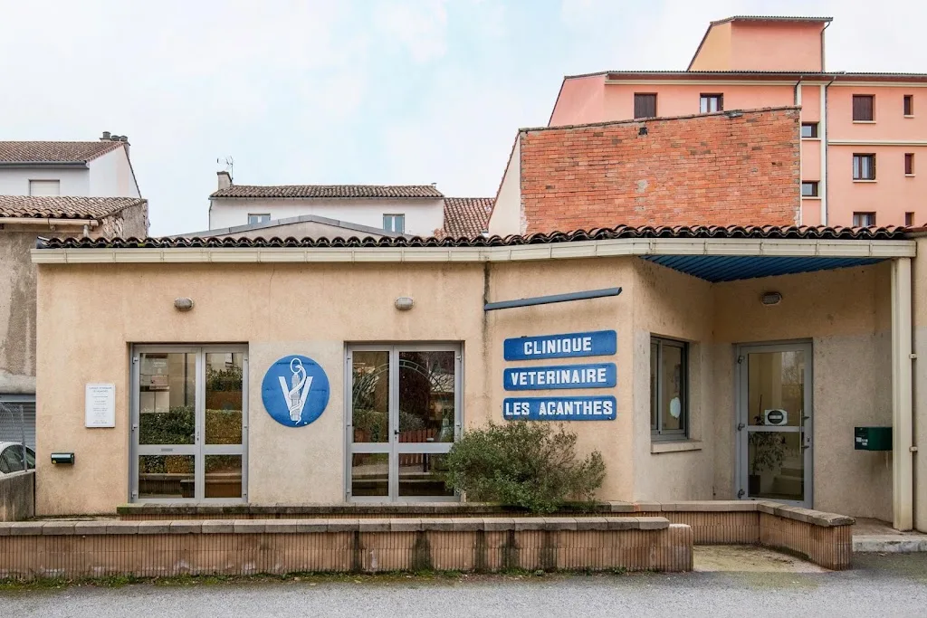 Clinique vétérinaire les acanthes - Millau - Sevetys - photo 3