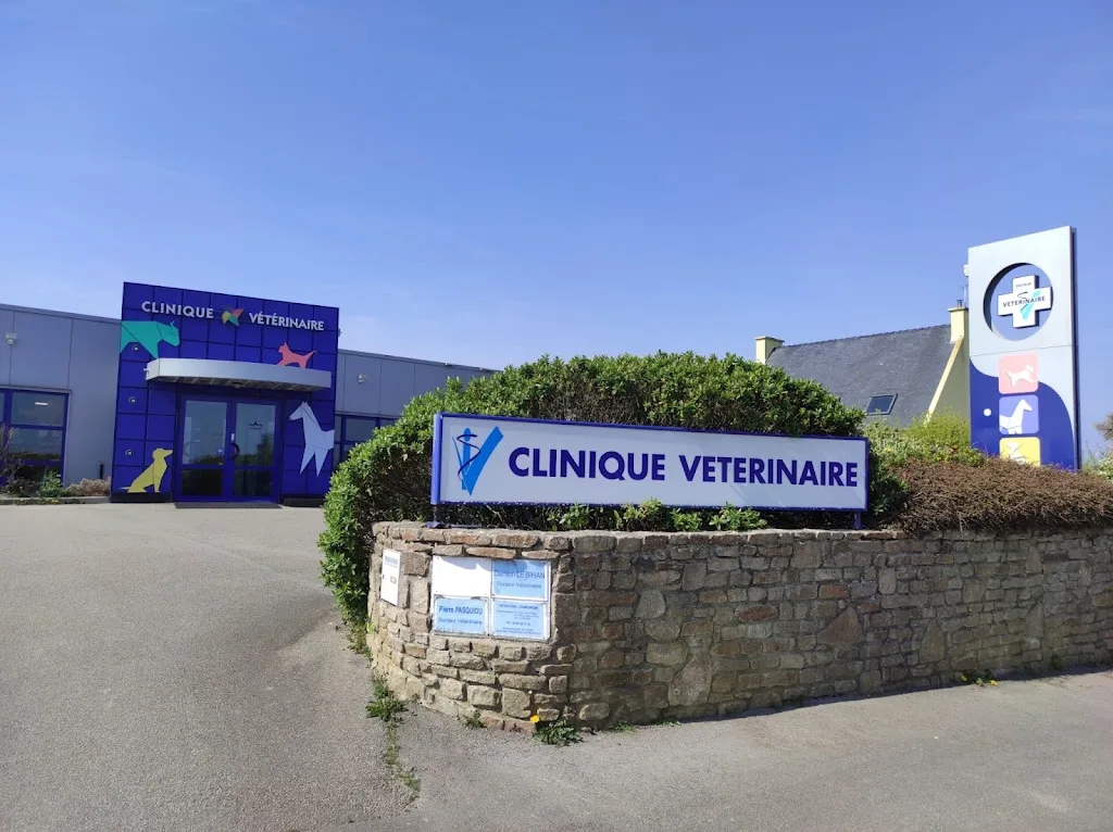 Docteur LOGEAIS, Clinique Vétérinaire de Castel Nevez - photo 2