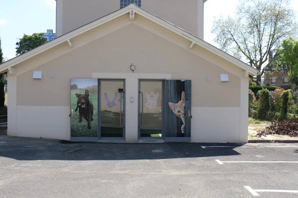Cabinet Vétérinaire du Mont Griffon - Dr Servane HOCHET - photo 1
