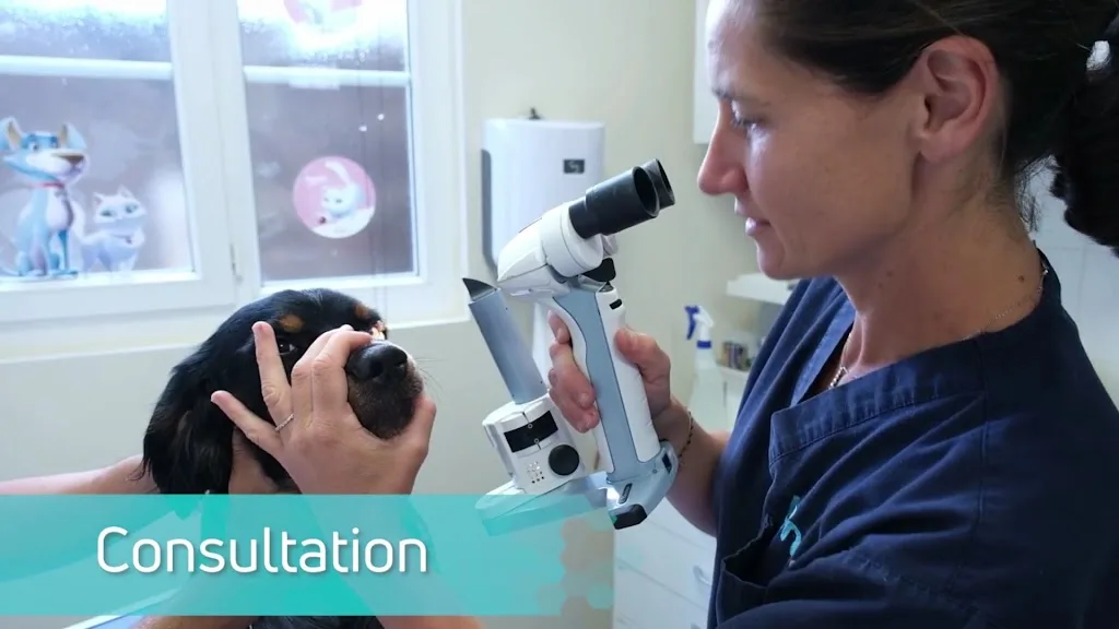 Clinique vétérinaire Univet Hyères XV Corps - photo 1