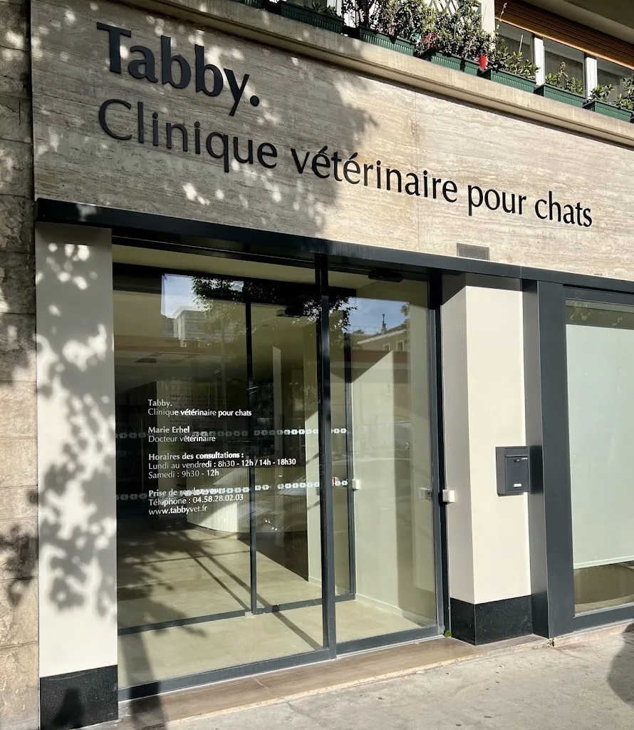 Clinique vétérinaire pour chats Tabby. - photo 2
