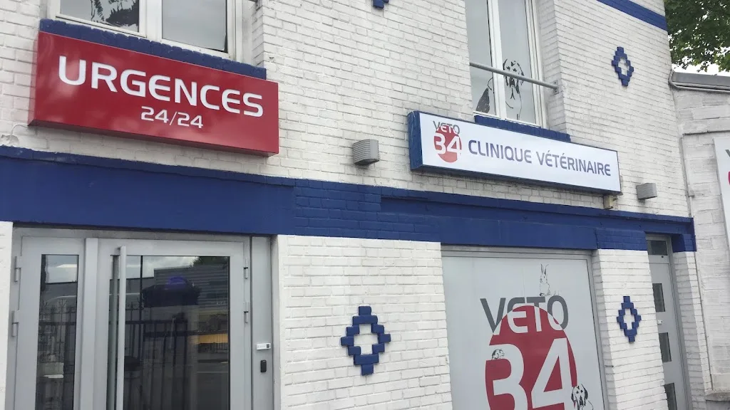 Clinique Vétérinaire Mon Véto Neuilly - photo 3