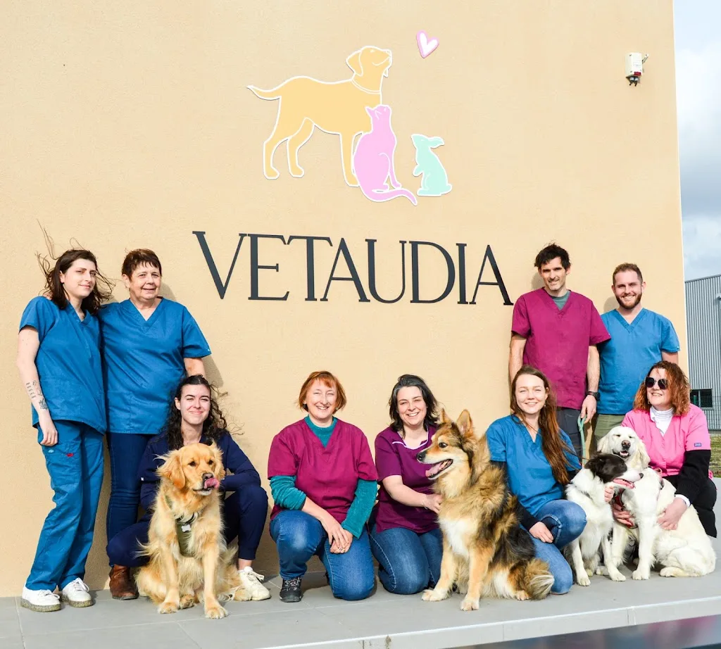 Clinique Vétérinaire VETAUDIA - photo 1