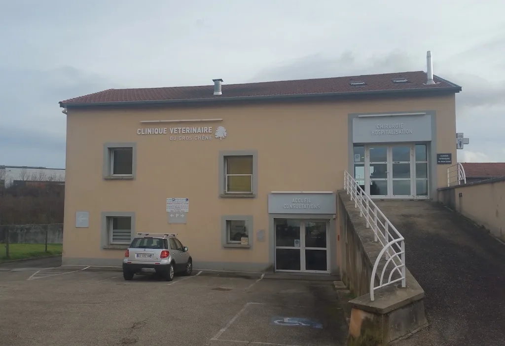 Clinique Vétérinaire du Gros Chêne | - photo 1