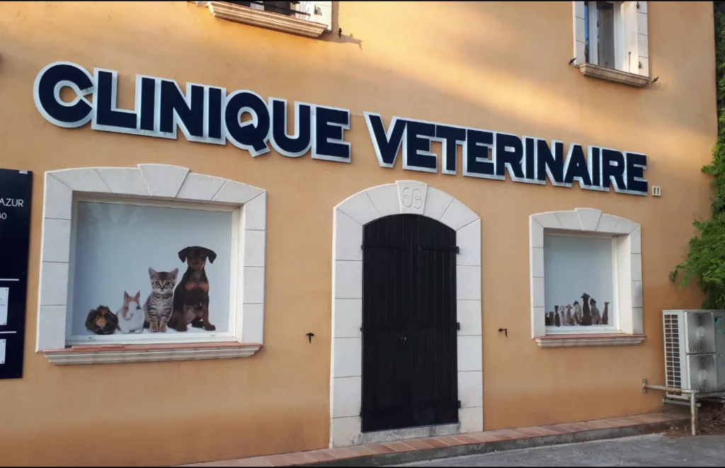Clinique Veterinaire Vet'azur SELARL - photo 1