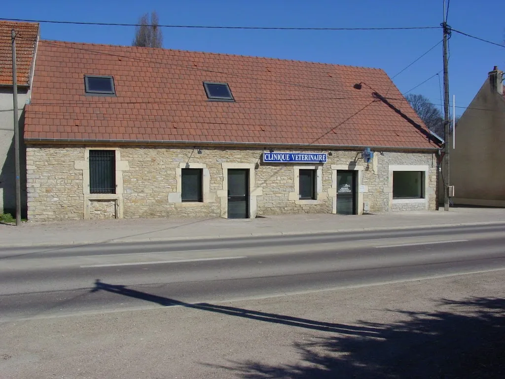 Clinique Veterinaire Des Hirondelles - photo 1