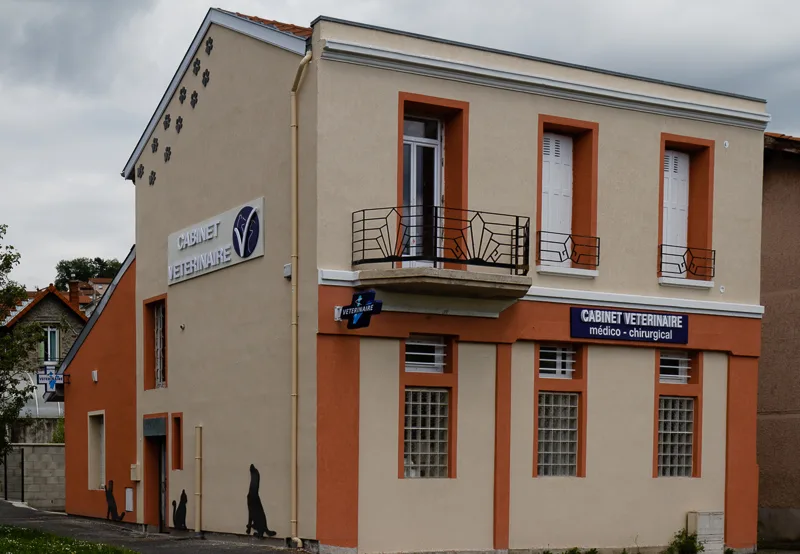 Clinique Vétérinaire Argos Le Chambon Feugerolles - photo 1