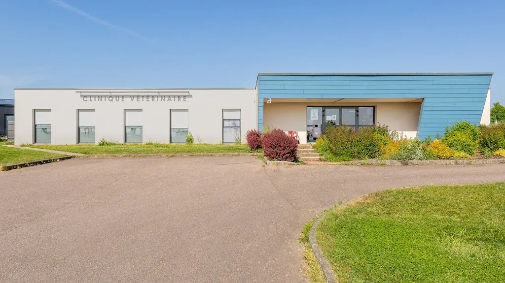 Clinique Vétérinaire de l'Etang - Saint Philbert sur Risle - photo 2