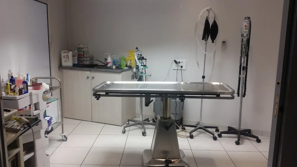 Clinique Vétérinaire Annecy du Dr Alsina - photo 1